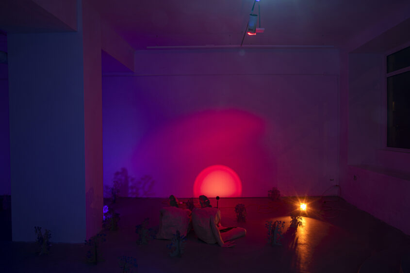 marinas sztefanu gergo fulop warm rays caressing body meleg sugarak art contemporary installation environment independent culture