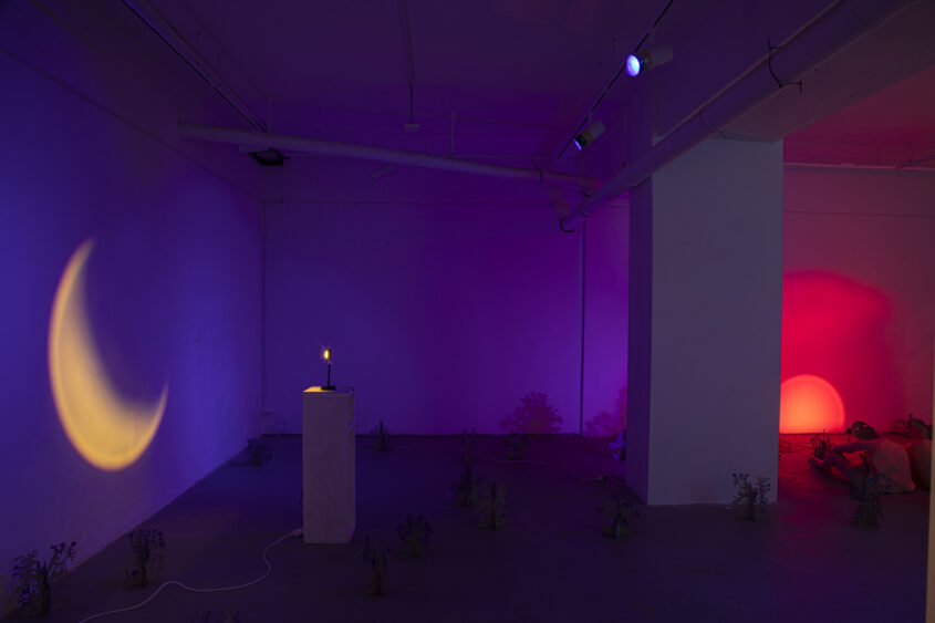 marinas sztefanu gergo fulop warm rays caressing body meleg sugarak art contemporary installation environment independent culture