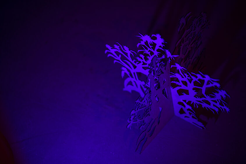 marinas sztefanu gergo fulop warm rays caressing body meleg sugarak art contemporary installation environment independent culture