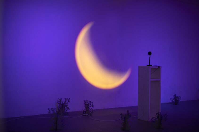 marinas sztefanu gergo fulop warm rays caressing body meleg sugarak art contemporary installation environment independent culture