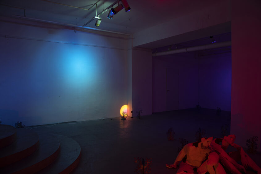 marinas sztefanu gergo fulop warm rays caressing body meleg sugarak art contemporary installation environment independent culture